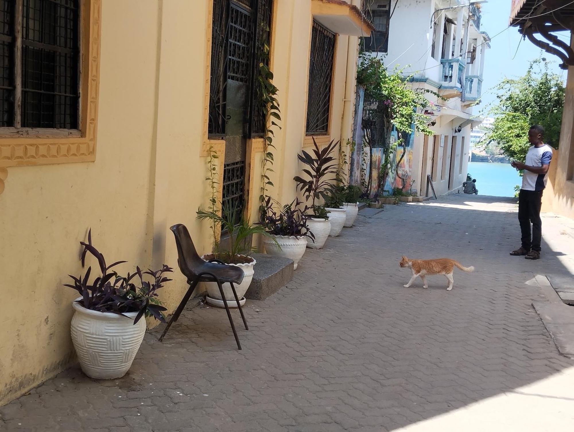 Mombasa Comfort House, Old Town Экстерьер фото
